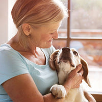 Adult Senior / dieet - Hebbr