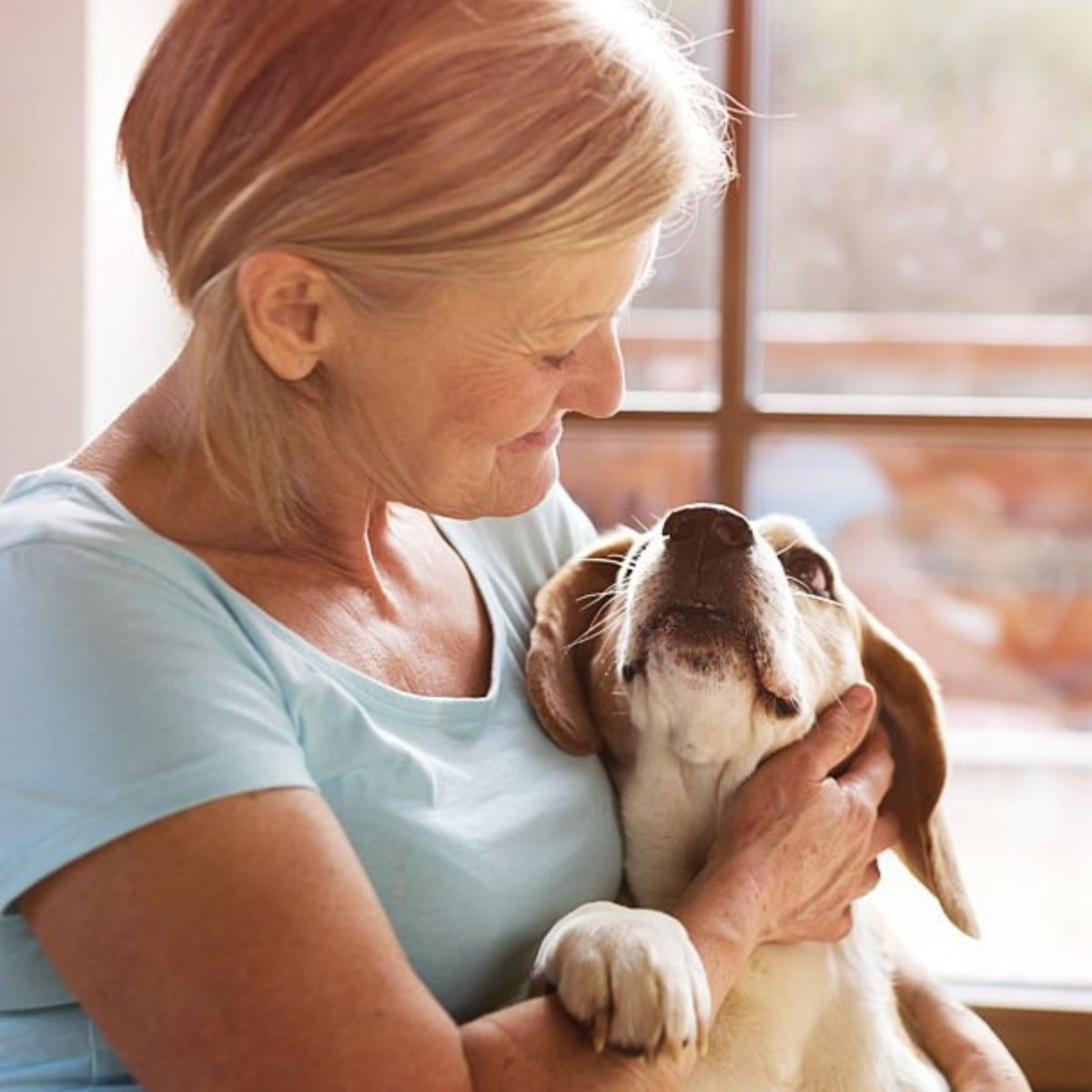 Adult Senior / dieet - Hebbr