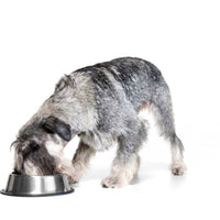 Adult Senior / dieet - Hebbr