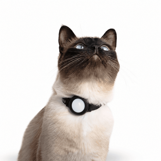AirTag Kattenhalsband - Hebbr