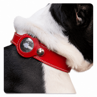 AirTag Lederhalsband - Hebbr