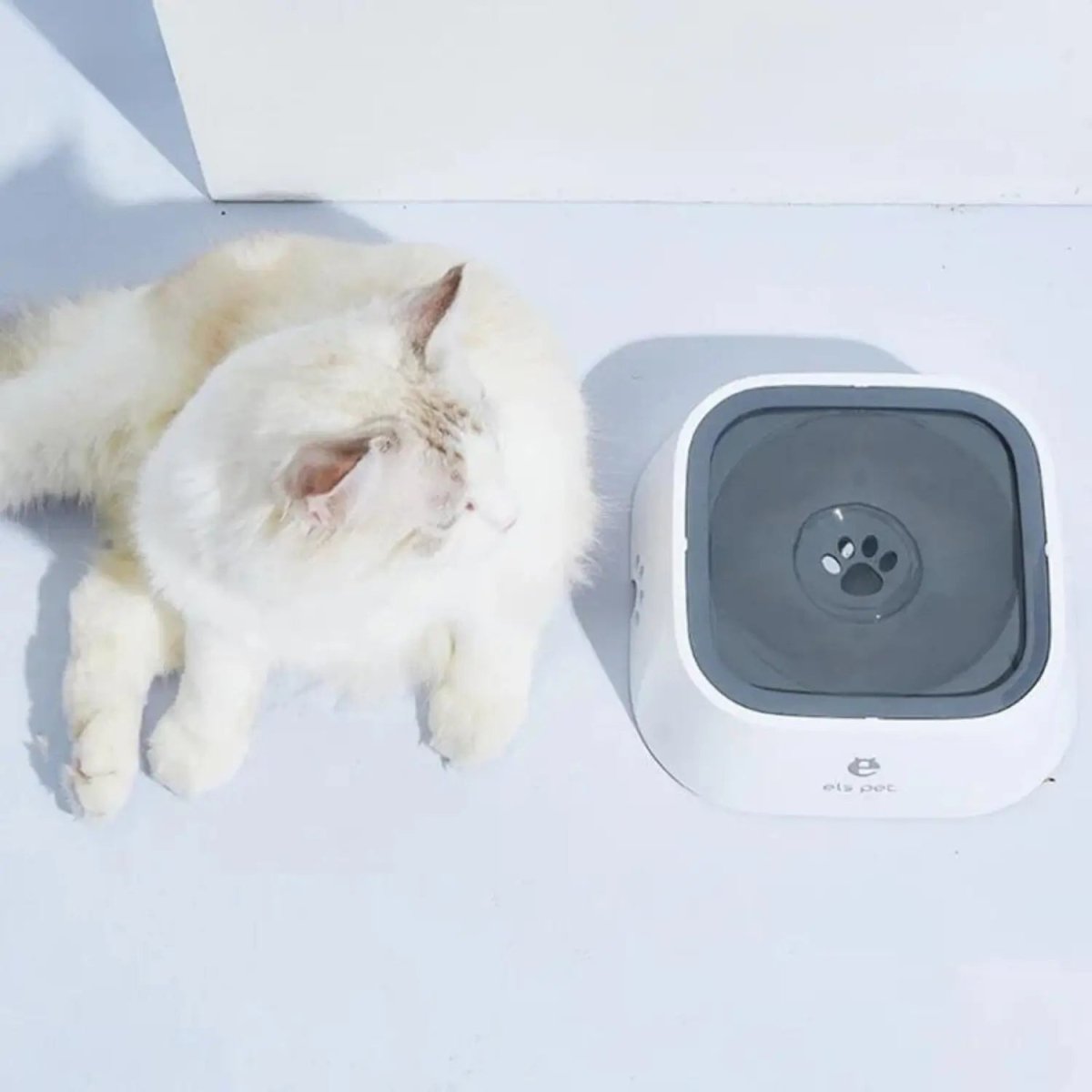 Anti - Spat Drinkbak Hond - BPA - vrij, Antislip, Ideaal voor Thuis en Auto - Hebbr