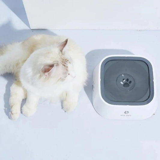 Anti - Spat Drinkbak Hond - BPA - vrij, Antislip, Ideaal voor Thuis en Auto - Hebbr