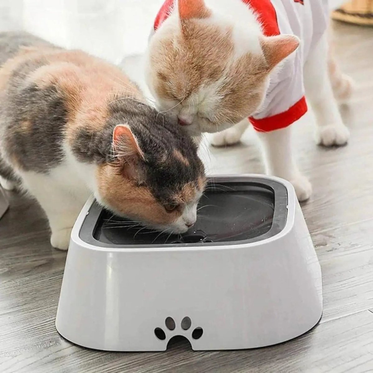 Anti - Spat Drinkbak Hond - BPA - vrij, Antislip, Ideaal voor Thuis en Auto - Hebbr