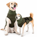 Anti-Stress Vest - Hebbr