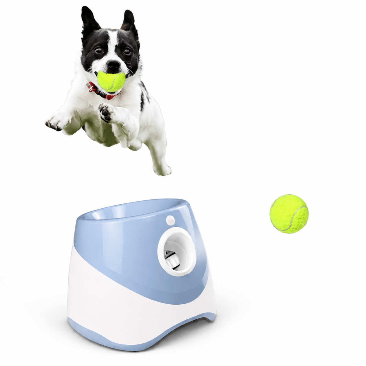Automatische Bal Launcher - Hebbr