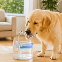 Automatische drinkfontein voor katten en honden met sensoractivatie en stil ontwerp - 2 liter - Hebbr