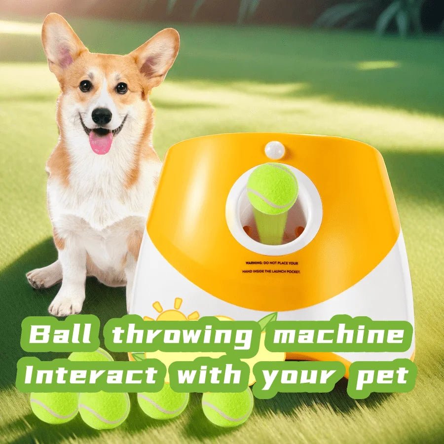 Automatische Hond Launcher met Oplaadbare Tennisbal - Interactief Speelgoed voor Honden en Katten - Hebbr