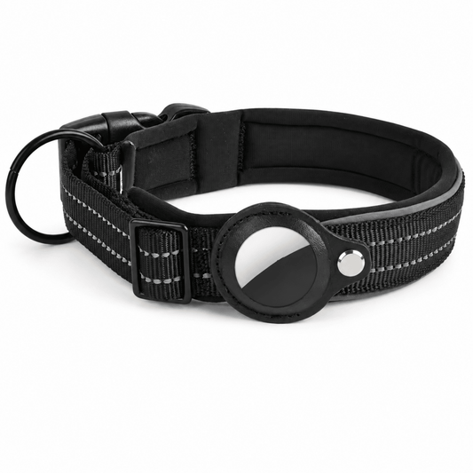 Bluetooth GPS Tracker - Hebbr