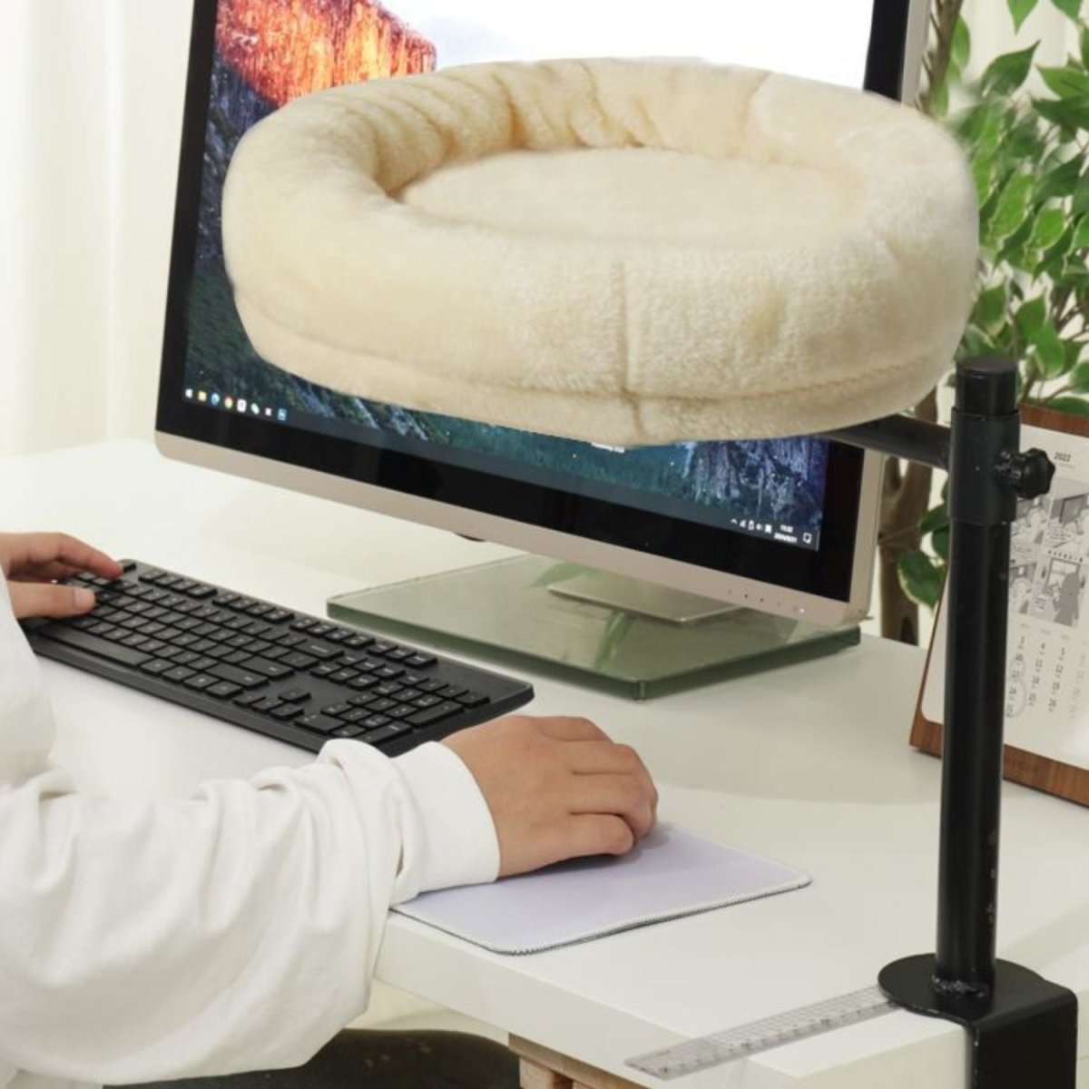 Bureau Kattenmand voor Katten tot 8 kg – Compact, Pluche en Verstelbaar - Hebbr