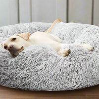 Comfort bed - Laat je vriend heerlijk wegdromen - Hebbr