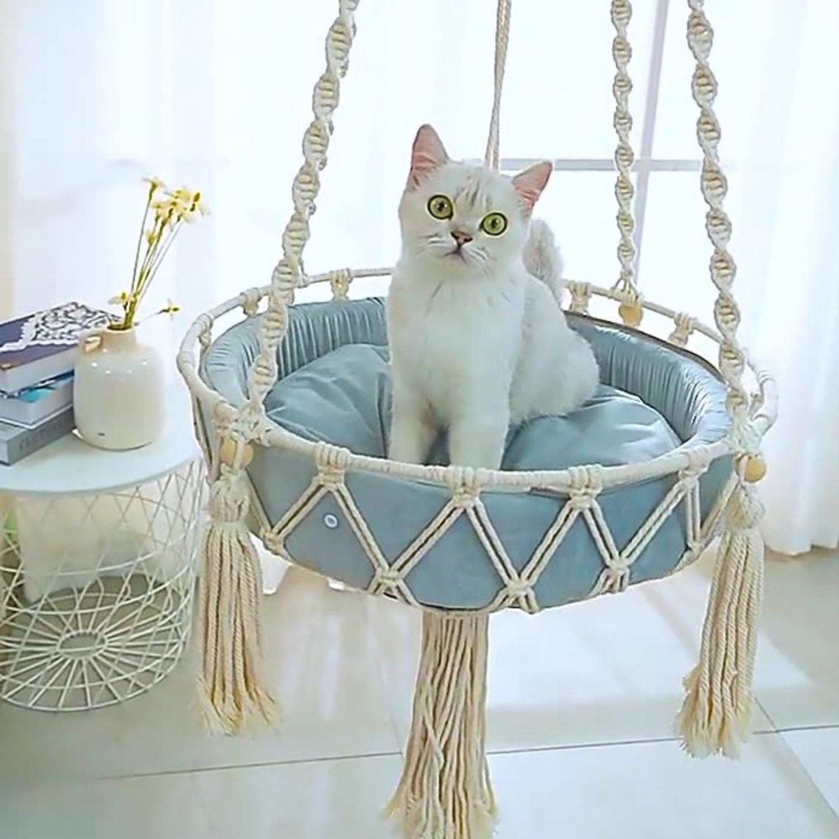 Comfortabele Hangmand voor Katten – Katoen, Lichtblauw Kussen, Verstelbaar 30 - 50 cm - Hebbr