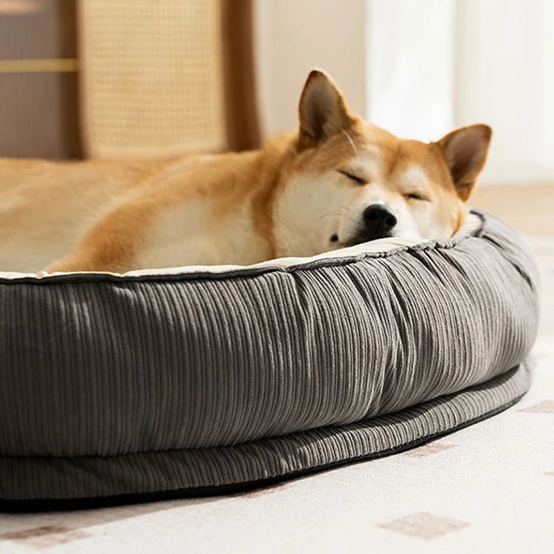 Dikke Orthopedisch Hondenbed met 3D Geheugenschuim - Comfortabel Hondenbedje voor Kleine en Middelgrote Honden - Hebbr