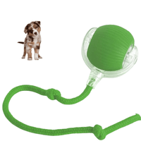 DogMotion - Minimaliseert stress door regelmatige uitdagingen - Hebbr