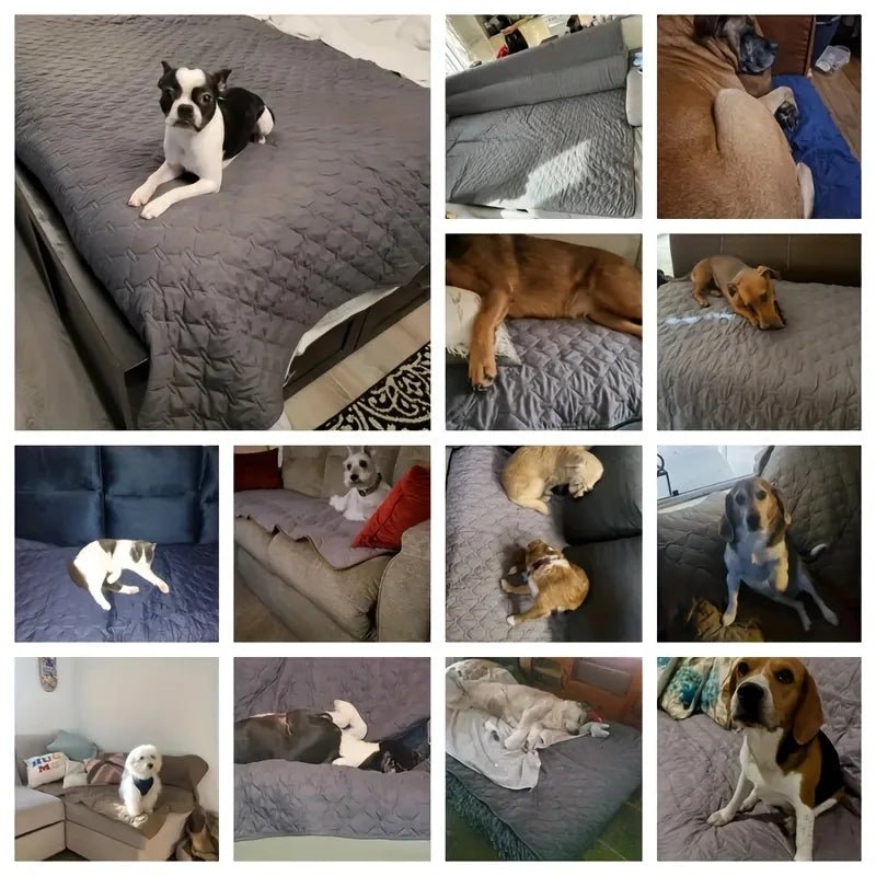 Dubbelzijdige Waterdichte Hondenbedhoes - Meubelbeschermer voor Binnen en Buiten, Machinewasbaar - Hebbr