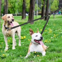 DuoPet Hondenriem | Elastisch, Dubbele Lijnen voor Twee Honden - Hebbr