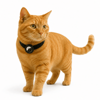 Elastisch Kattenhalsband - Hebbr