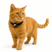 Elastisch Kattenhalsband - Hebbr