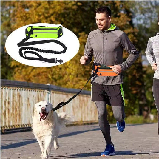 Ergonomische Hondenriem met Verstelbare Heupgordel en Elastische Demper voor Joggen en Wandelen - Hebbr