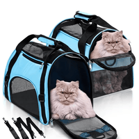 Faltbare Draagtas voor Huisdieren - Ademend Mesh, Ruimtebesparend, Verstelbare Schoudergordel, Grijs - Hebbr