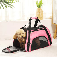 Faltbare Draagtas voor Huisdieren - Ademend Mesh, Ruimtebesparend, Verstelbare Schoudergordel, Grijs - Hebbr