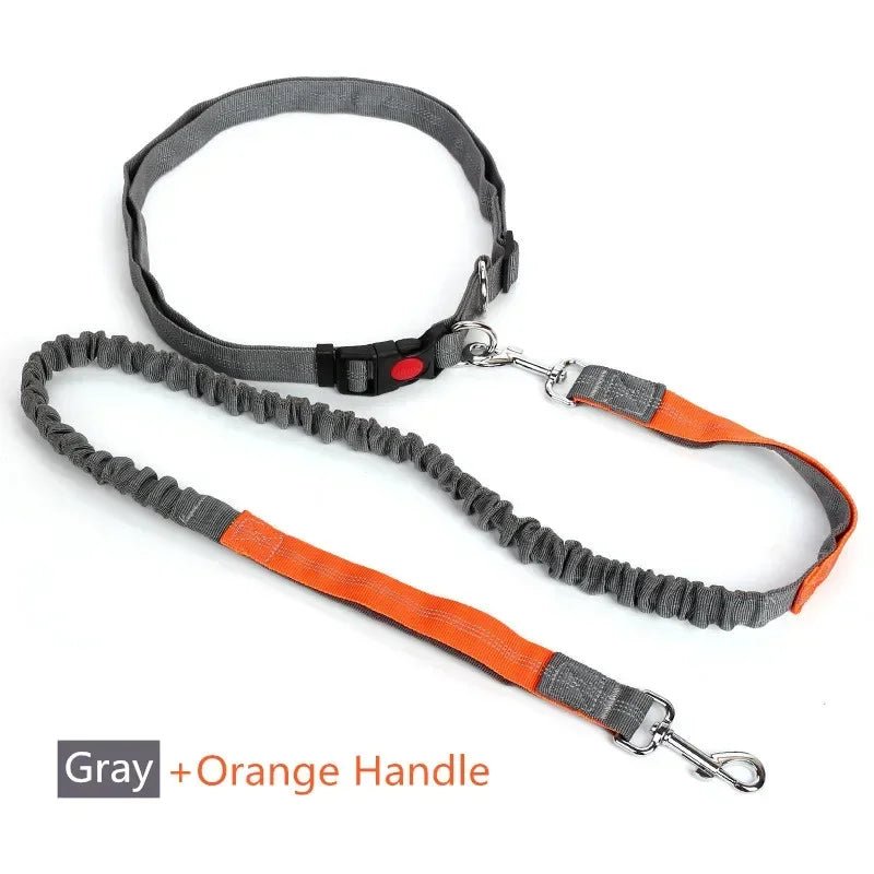 Flexi Hondenriem 70 - 128 cm Nylon – Handvrij Joggen Fietsen Grijs Oranje - Hebbr