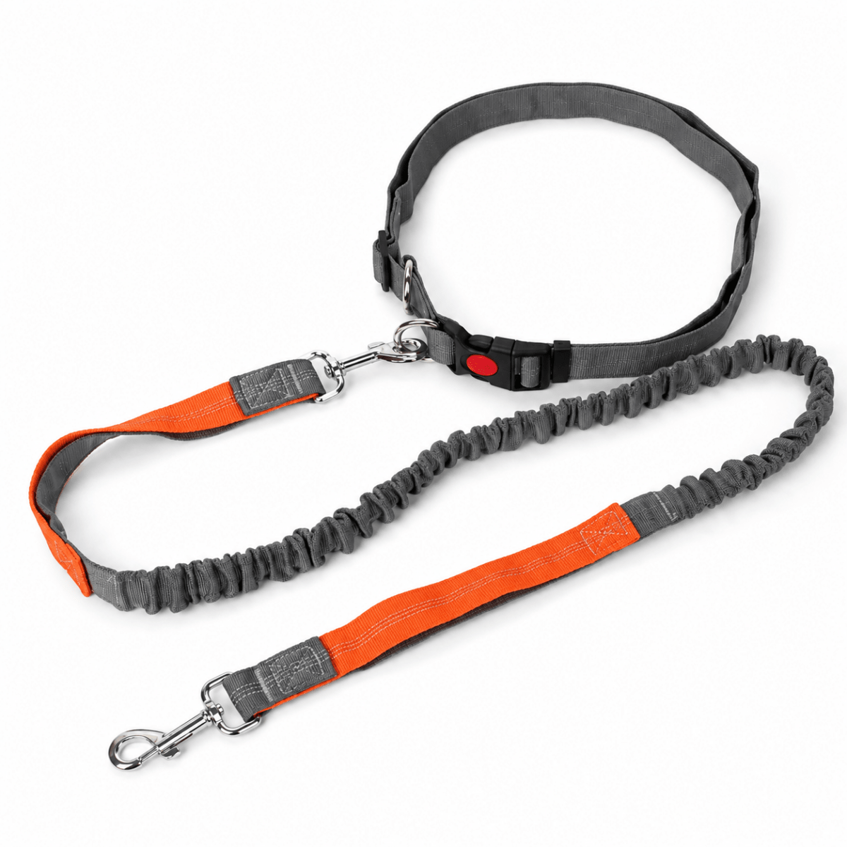 Flexi Nylon Riem - Hebbr