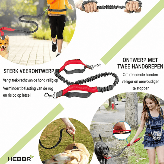 Flexi Nylon Riem - Hebbr