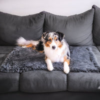 Fluffy Hondendeken voor Auto – Superzacht, Machinewasbaar & Stressverlagend - Hebbr