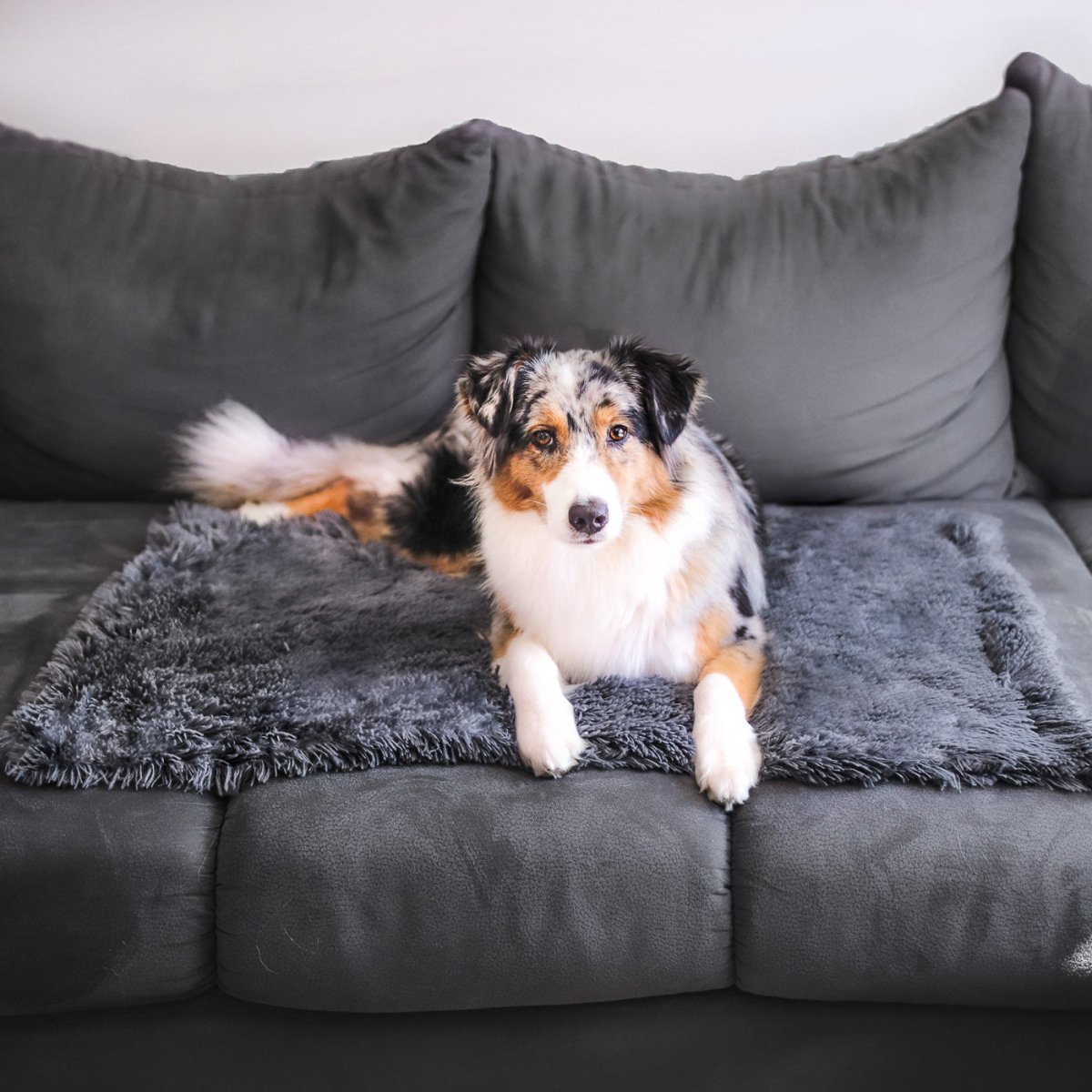 Fluffy Hondendeken voor Auto – Superzacht, Machinewasbaar & Stressverlagend - Hebbr