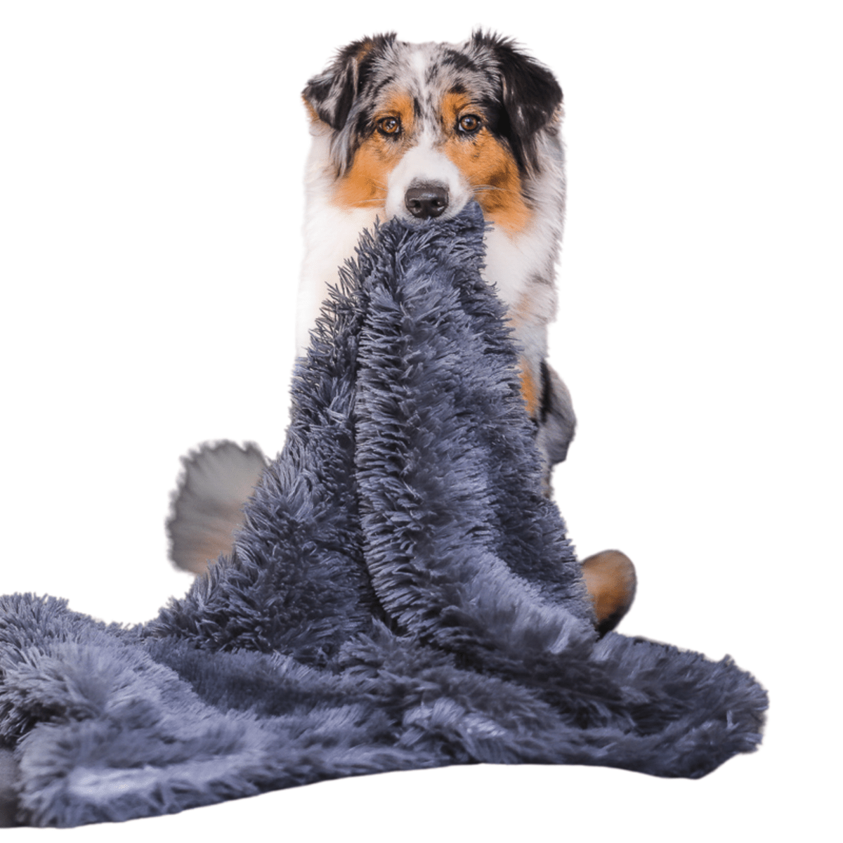 Fluffy Hondendeken voor Auto – Superzacht, Machinewasbaar & Stressverlagend - Hebbr