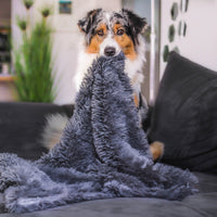 Fluffy Hondendeken voor Auto – Superzacht, Machinewasbaar & Stressverlagend - Hebbr