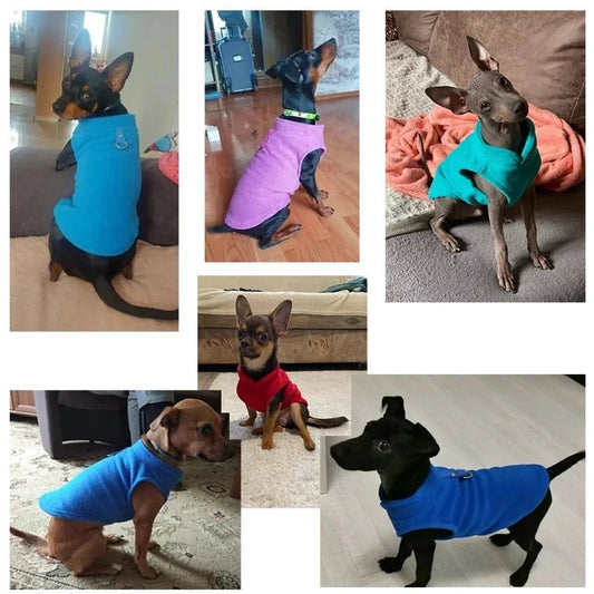 Franse Bulldog Vest L Fleece – Warm en Comfortabel voor Kleine Honden Blauw - Hebbr