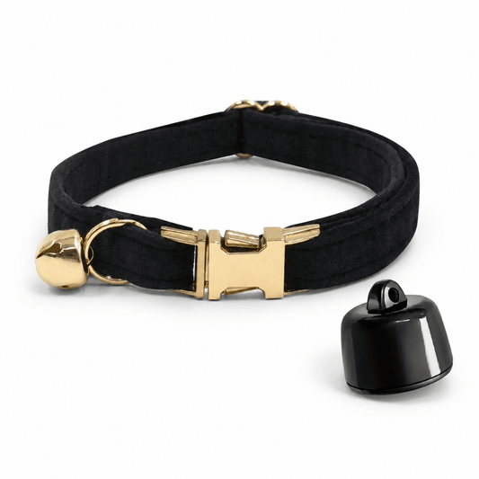 GPS Geo-fence Tracker - Hebbr
