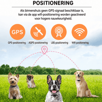 GPS Halsband Tracker - Hebbr