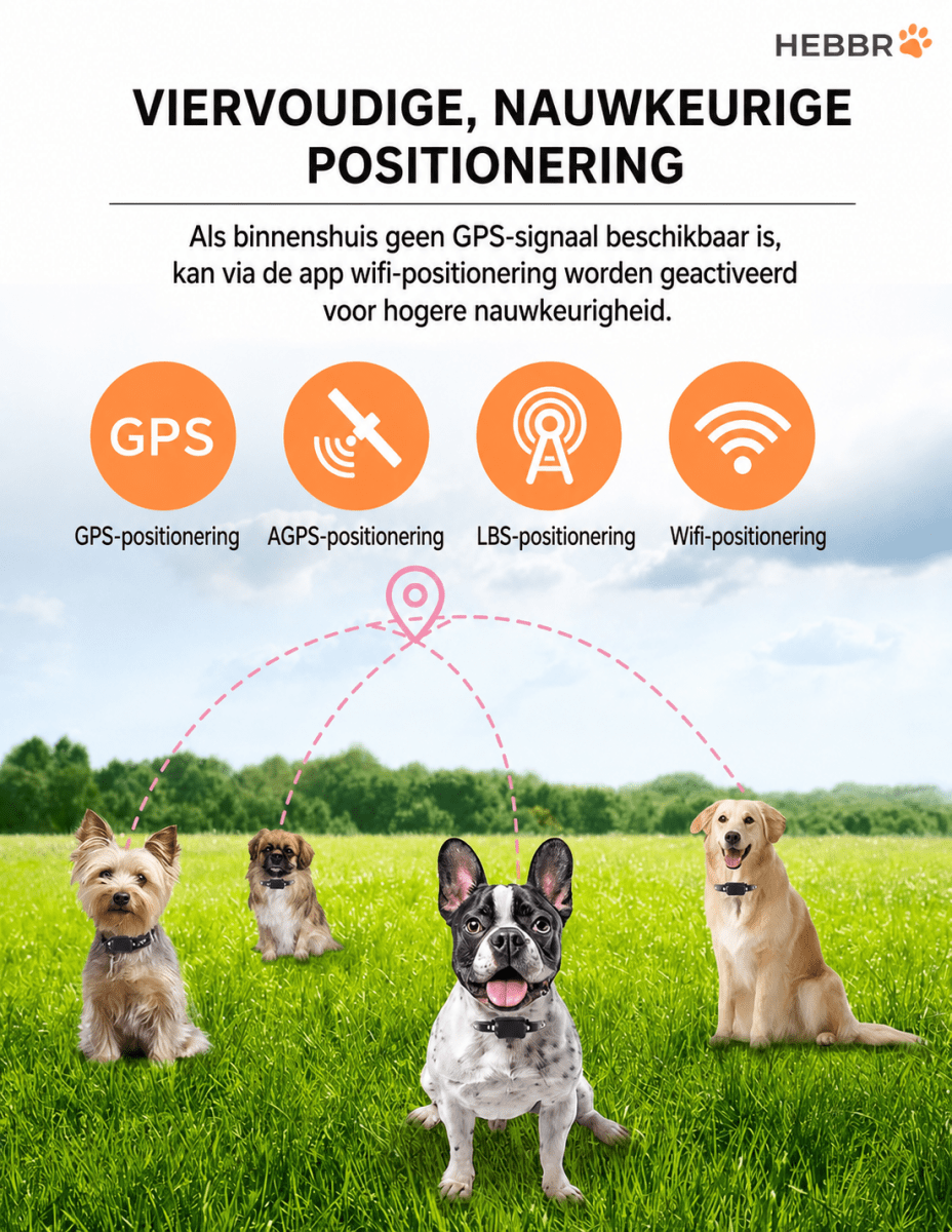 GPS Halsband Tracker - Hebbr