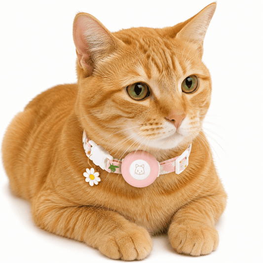 GPS Kattenhalsband - Hebbr