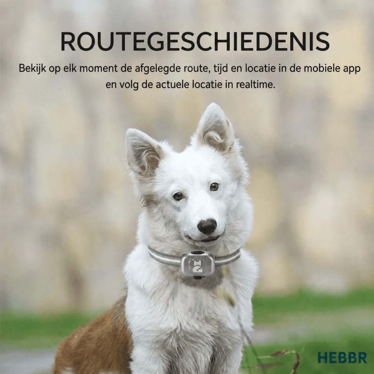 GPS Tracker - Hebbr