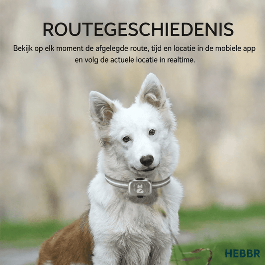 GPS Tracker - Hebbr