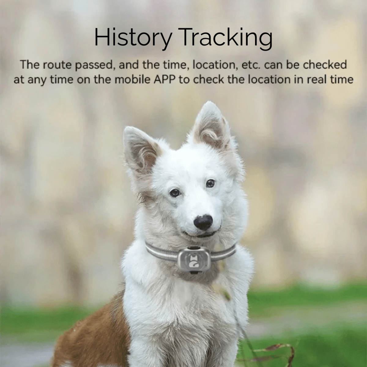 GPS Tracker Hond 5×3×1,5 cm – Waterdicht met Nauwkeurige Locatiebepaling - Hebbr