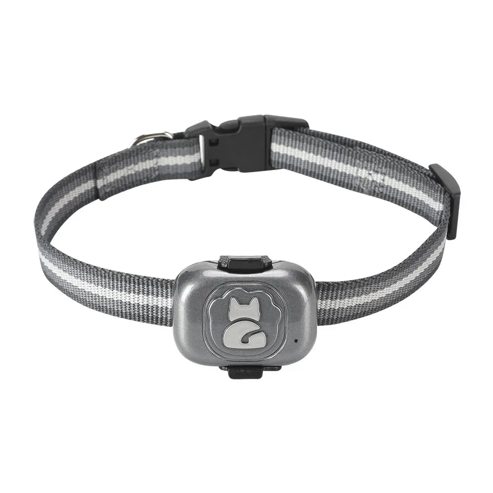 GPS Tracker Hond 5×3×1,5 cm – Waterdicht met Nauwkeurige Locatiebepaling - Hebbr