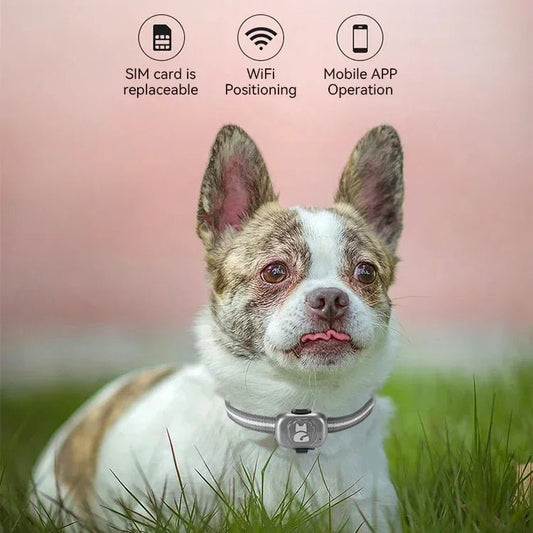 GPS Tracker Hond 5×3×1,5 cm – Waterdicht met Nauwkeurige Locatiebepaling - Hebbr
