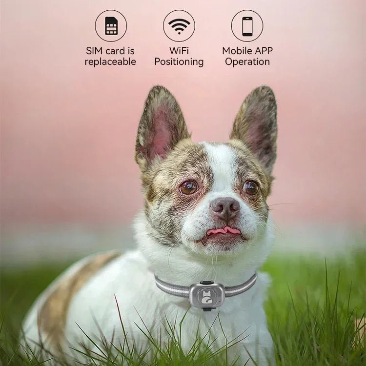 GPS Tracker Hond 5×3×1,5 cm – Waterdicht met Nauwkeurige Locatiebepaling - Hebbr