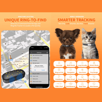 GPS Tracker Hond 67×29×19 mm – Realtime Tracking, Waterdicht IP67 - Hebbr
