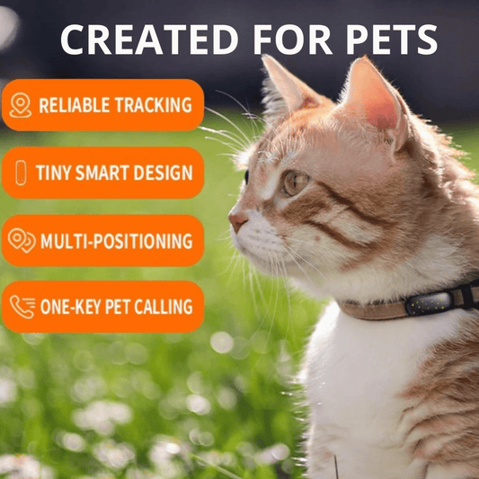 GPS Tracker Hond 67×29×19 mm – Realtime Tracking, Waterdicht IP67 - Hebbr