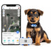 GPS Tracker voor Hond 38 g Waterdicht – Realtime Locatiebepaling - Hebbr