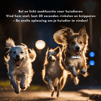 GPS Tracker voor Hond 38 g Waterdicht – Realtime Locatiebepaling - Hebbr
