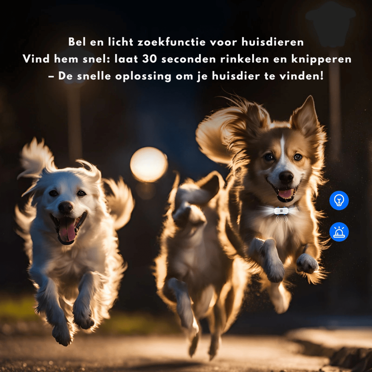 GPS Tracker voor Hond 38 g Waterdicht – Realtime Locatiebepaling - Hebbr