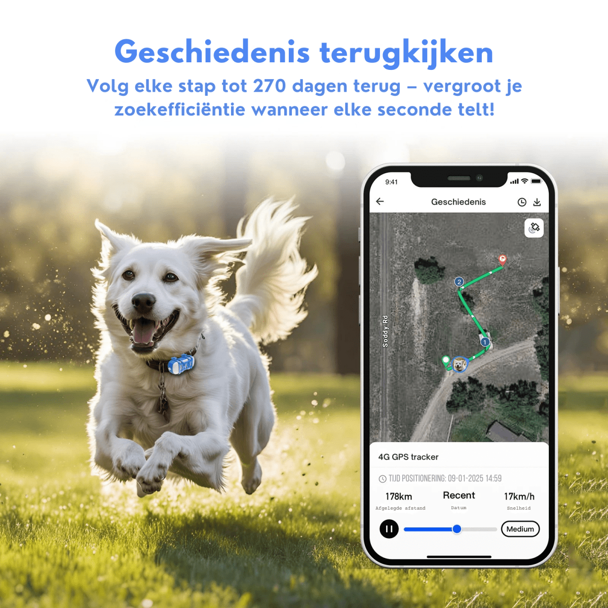 GPS Tracker voor Hond 38 g Waterdicht – Realtime Locatiebepaling - Hebbr