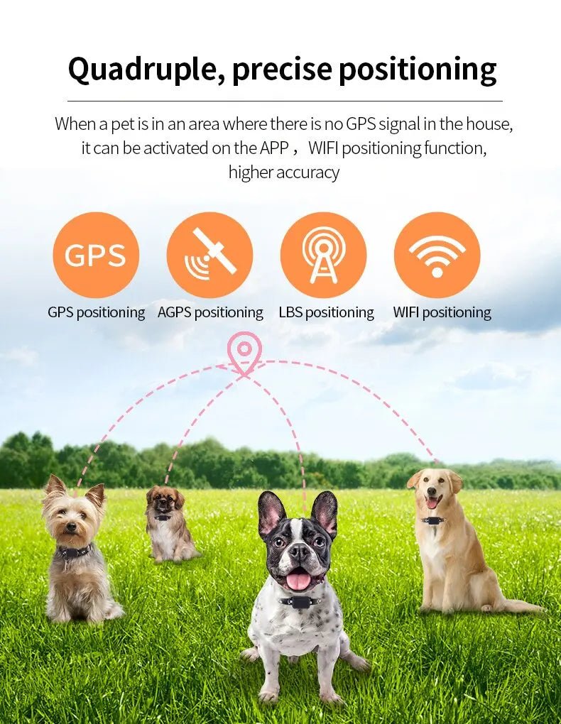 GPS Tracker voor Honden – Waterdichte Verstelbare Halsband Nylon - Hebbr